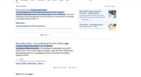 Google AI Overviews live in België: wat betekent dit voor SEO?