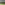 20220509-yappanezen-web-350.jpg