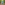 watgaanwedoen-case-intro.png