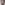 prebes-preview-cases.png