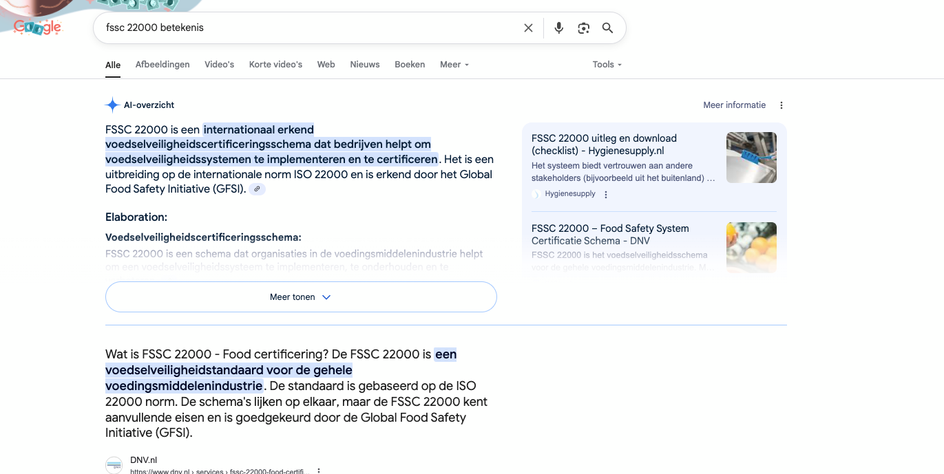 AI Overviews Google België voorbeeld